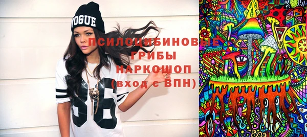 ГАЛЛЮЦИНОГЕННЫЕ ГРИБЫ Алзамай