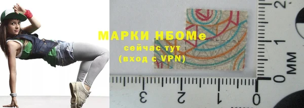 МДПВ Пересвет