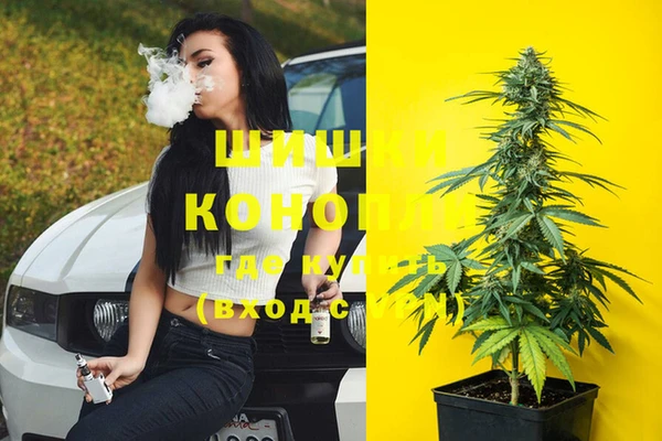 ГАЛЛЮЦИНОГЕННЫЕ ГРИБЫ Алзамай