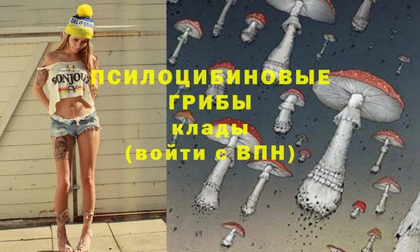 ГАЛЛЮЦИНОГЕННЫЕ ГРИБЫ Алзамай