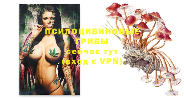 МДМА Алексин