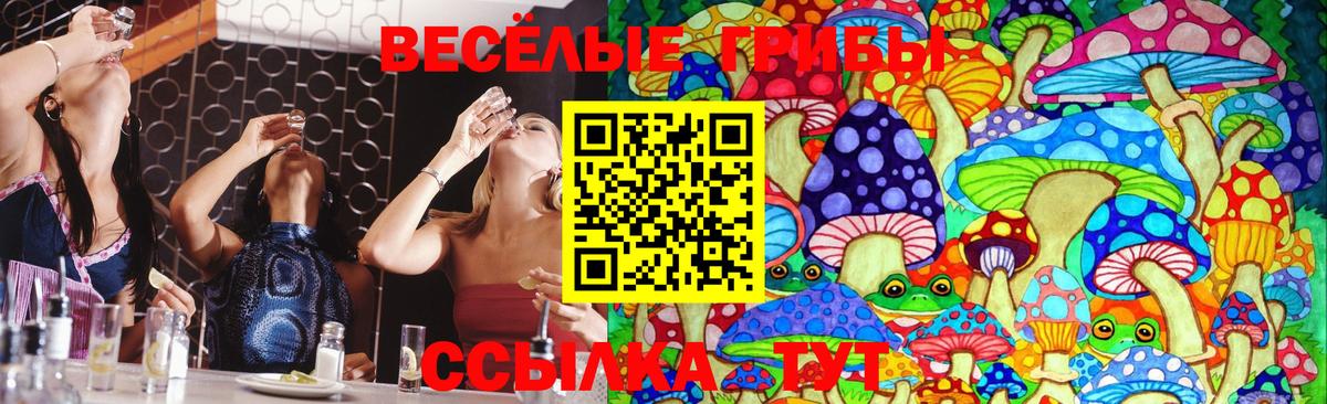Псилоцибиновые грибы мухоморы  Галлюциногенные грибы мухоморы  Джанкой  Вход с VPN 